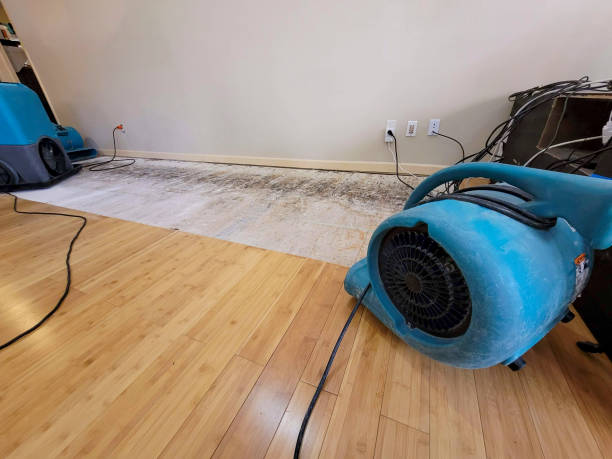 Professional Water Damage Repair technician working in Westminster, SC
